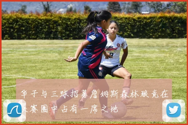 华子与三球招募詹姆斯森林狼竟在决赛圈中占有一席之地